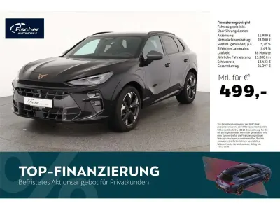 Gebraucht Cupra Terramar