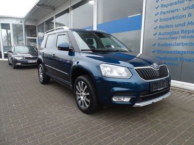 gebraucht Skoda Yeti 2.0 TDI DSG Edition 4x4 Navi Xenon Pano