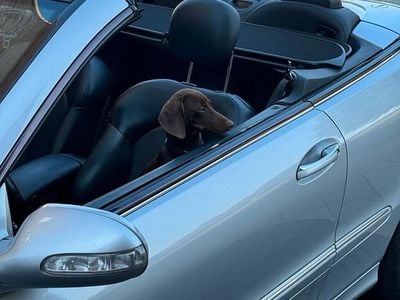 Gebraucht Mercedes CLK280 238 PS (175 kW) 2006 Silber Cabrio