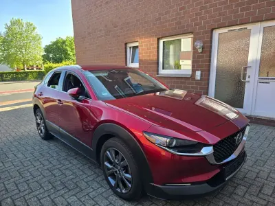 Brugt Mazda CX-30
