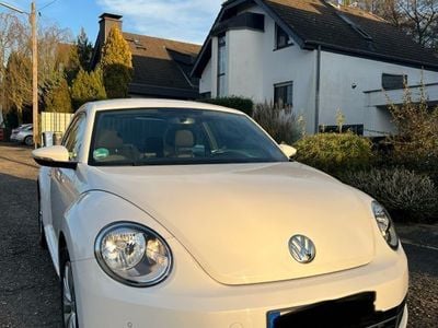 VW Beetle