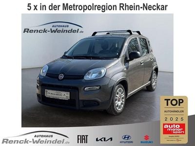 Gebraucht Fiat Panda 69 PS (50 kW) 2023 Weiß Kleinwagen