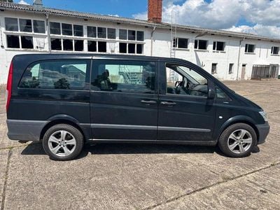Mercedes Viano