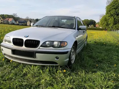Brugt BMW 316