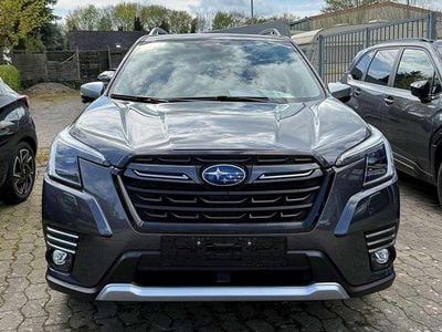 Usata Subaru Forester Platinum 150 CV (110 kW) 2023 Grigio SUV
