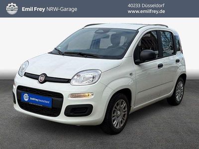Gebraucht Fiat Panda Icon 69 PS (50 kW) 2025 Gelato weiss Kleinwagen
