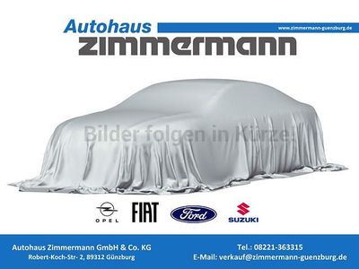 Neu Ford Tourneo Titanium 170 PS (125 kW) 2026 Grau Van / Kleinbus