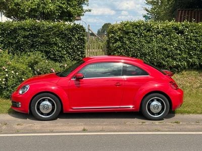 VW Beetle