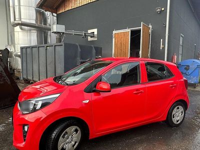 Usata Kia Picanto Edition 7 67 CV (49 kW) 2020 Utilitaria