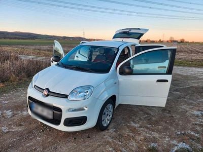 Usata Fiat Panda 69 CV (50 kW) 2016 Bianco Utilitaria