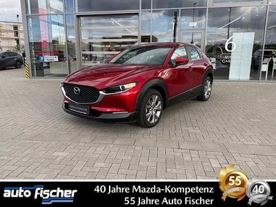 Gebraucht Mazda CX-30 Selection 150 PS (110 kW) 2022 Rot SUV