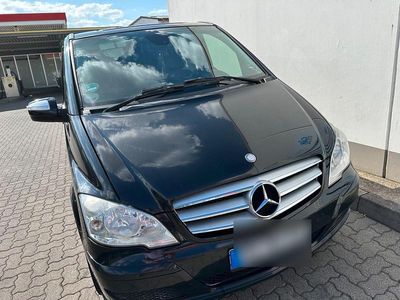 Mercedes Viano