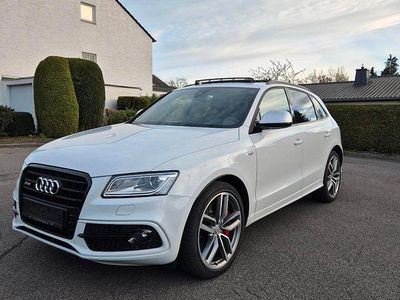 Gebraucht Audi SQ5 Competition 326 PS (239 kW) 2016 Weiß SUV