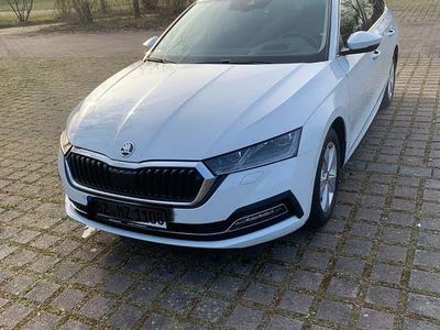 Gebraucht Skoda Octavia First Edition 150 PS (110 kW) 2020 Weiß Kombi