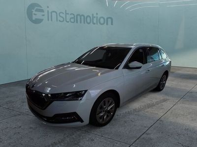 Gebraucht Skoda Octavia Style 150 PS (110 kW) 2023 Weiß Kombi