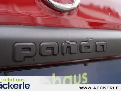 Gebraucht Fiat Panda Cross
