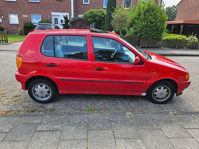 VW Polo