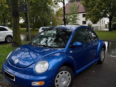 VW Beetle
