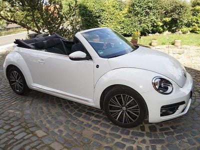 VW Beetle