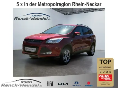 Gebraucht Ford Kuga SYNC Edition 150 PS (110 kW) 2016 Rot SUV