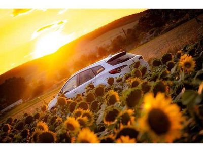 Gebraucht Suzuki Swace Comfort+ 140 PS (102 kW) 2024 Weiß Kombi