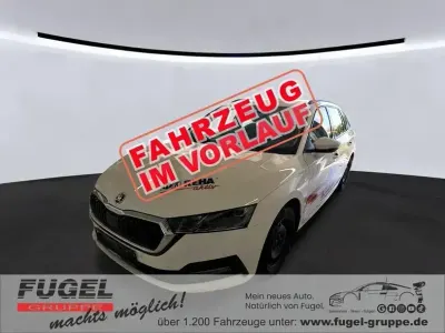 Gebraucht Skoda Octavia Ambition 150 PS (110 kW) 2023 Candyweiss Kombi