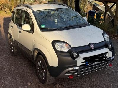 Gebraucht Fiat Panda Cross Cross 90 PS (66 kW) 2018 Weiß Kleinwagen