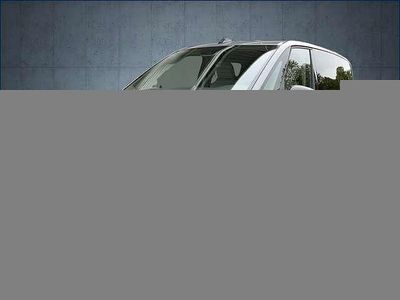 Gebraucht VW Multivan Life 204 PS (150 kW) 2024 Grau Van