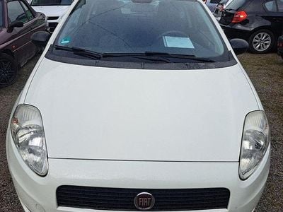 Gebraucht Fiat Punto 69 PS (50 kW) 2012 Weiß Kleinwagen