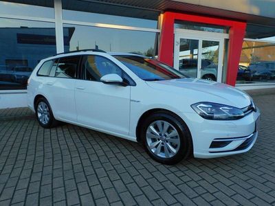 Usata VW Golf VII Comfortline 131 CV (96 kW) 2019 Bianco Station wagon