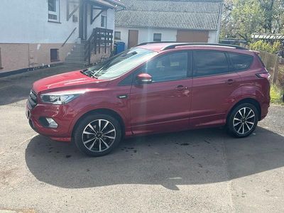 Usata Ford Kuga ST-Line 150 CV (110 kW) 2019 Rosso SUV
