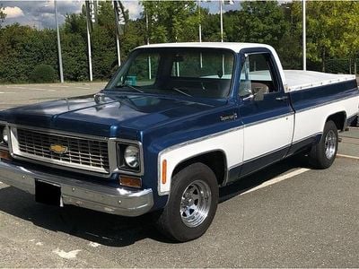 Blau Gebraucht 1974 Chevrolet C10 Abholung | 16.000 €