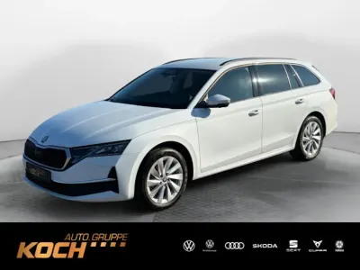 Gebraucht Skoda Octavia Selection 150 PS (110 kW) 2025 Moonweiss metallic Kombi