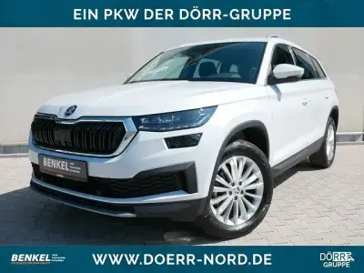 Usata Skoda Kodiaq Ambition 150 CV (110 kW) 2024 Bianco SUV