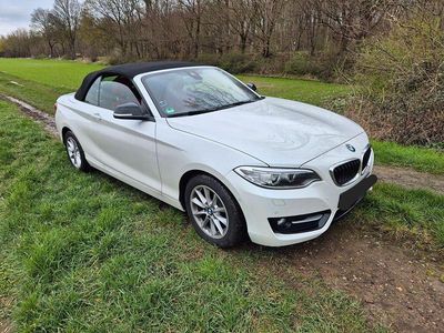 Weiß Gebraucht 2015 BMW 220 Luxury Line Cabrio | 19.990 € (Fairer Preis)