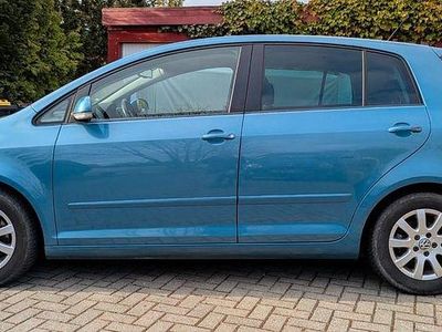 Usata VW Golf Plus Cross Comfortline 116 CV (85 kW) 2005 Blu Monovolume