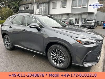 Neu Lexus NX350h Business Edition 243 PS (178 kW) 2026 Grau SUV