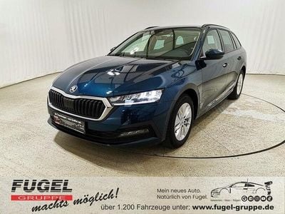 Gebraucht Skoda Octavia Ambition 150 PS (110 kW) 2021 Lavablau metallic Kombi