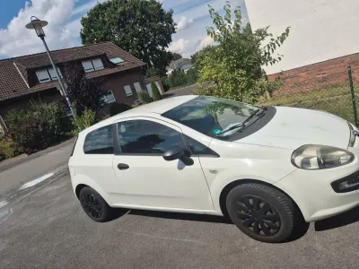 Gebraucht Fiat Punto Evo 69 PS (50 kW) 2011 Weiß Kleinwagen