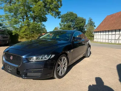 Używany Jaguar XE 163 KM (119 kW) 2017 Niebieski Sedan/Limuzyna