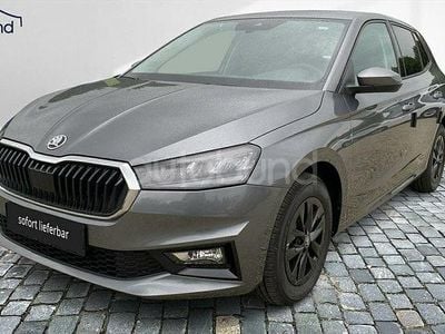 Grau Neu 2025 Skoda Fabia Limousine | 19.670 € (Fairer Preis)