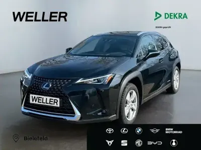 Gebraucht Lexus UX 250h