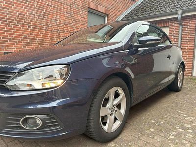 VW Eos