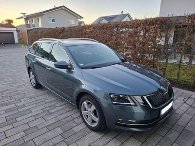 Gebraucht Skoda Octavia Style 150 PS (110 kW) 2020 Grau Kombi