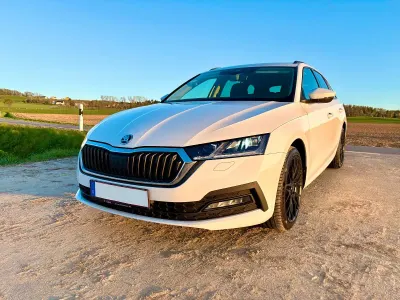 Gebraucht Skoda Octavia Ambition 150 PS (110 kW) 2020 Weiß Kombi