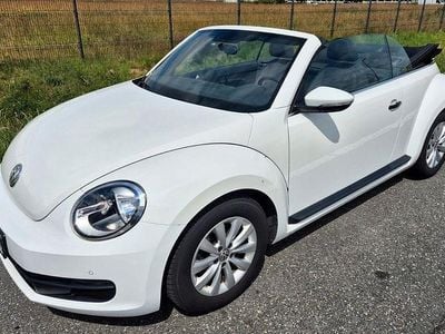 VW Beetle