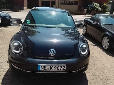VW Beetle