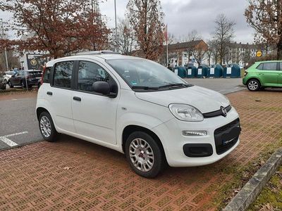 Weiß Gebraucht 2017 Fiat Panda Easy Kleinwagen | 8.800 € (Fairer Preis)