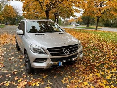 Mercedes ML250