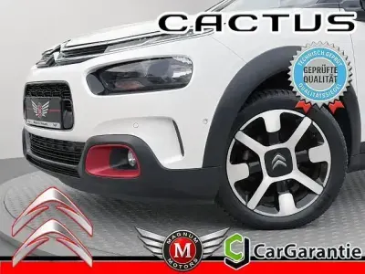 Gebraucht Citroën C4 Cactus Shine 110 PS (80 kW) 2019 Andere Kleinwagen